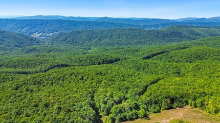 Large Wooded Tract of Land for Sale in Tazewell VA - image 26