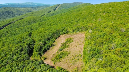 Large Wooded Tract of Land for Sale in Tazewell VA - image 3