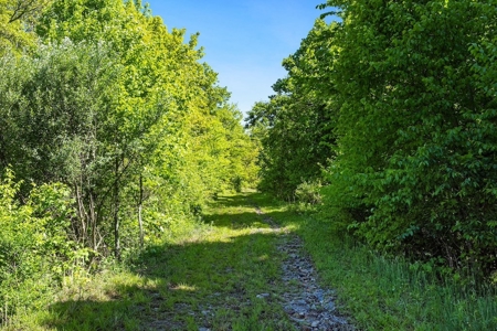 Large Wooded Tract of Land for Sale in Tazewell VA - image 10