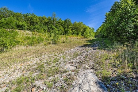 Large Wooded Tract of Land for Sale in Tazewell VA - image 7