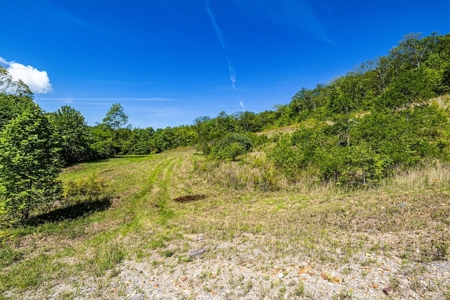 Large Wooded Tract of Land for Sale in Tazewell VA - image 6