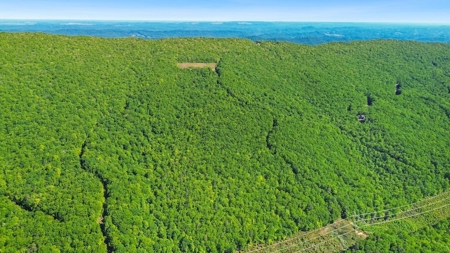 Large Wooded Tract of Land for Sale in Tazewell VA - image 22