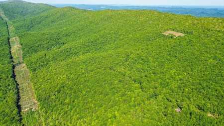 Large Wooded Tract of Land for Sale in Tazewell VA - image 25
