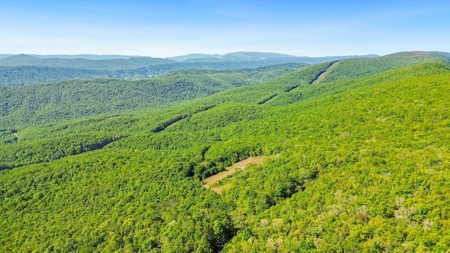 Large Wooded Tract of Land for Sale in Tazewell VA - image 20