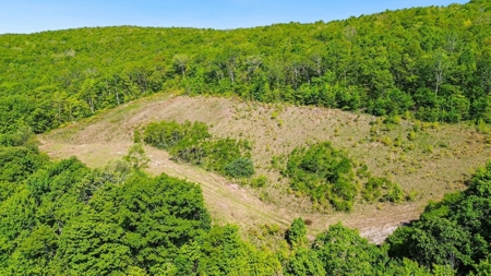 Large Wooded Tract of Land for Sale in Tazewell VA - image 12