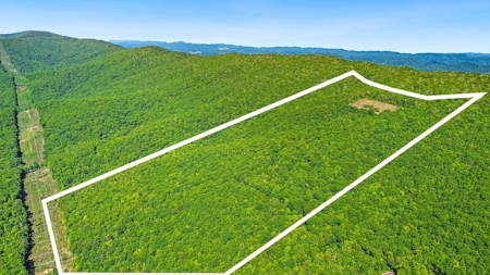Large Wooded Tract of Land for Sale in Tazewell VA - image 2