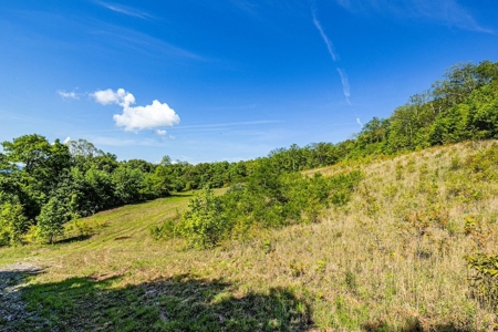 Large Wooded Tract of Land for Sale in Tazewell VA - image 5