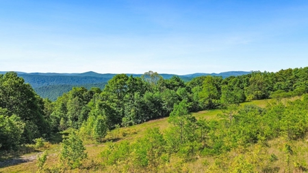 Large Wooded Tract of Land for Sale in Tazewell VA - image 17