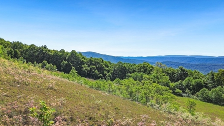 Large Wooded Tract of Land for Sale in Tazewell VA - image 16