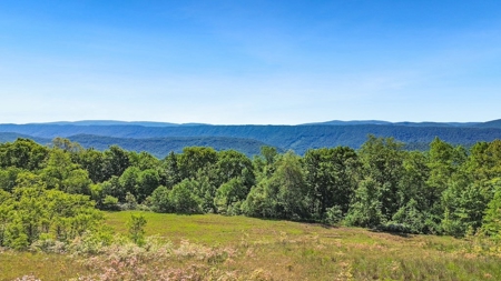 Large Wooded Tract of Land for Sale in Tazewell VA - image 15
