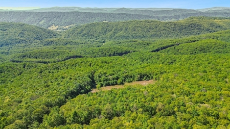 Large Wooded Tract of Land for Sale in Tazewell VA - image 19