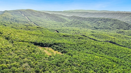 Large Wooded Tract of Land for Sale in Tazewell VA - image 21
