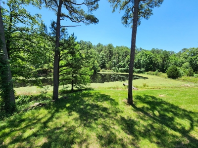 Cedar Lake Luxury Cabin Surrounded by National Forest - image 7