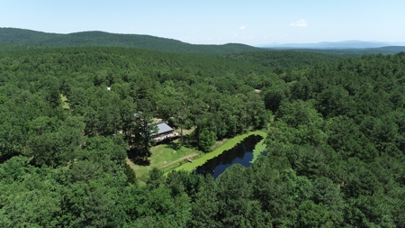 Cedar Lake Luxury Cabin Surrounded by National Forest - image 1