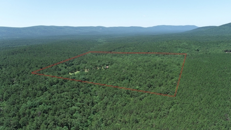 Cedar Lake Luxury Cabin Surrounded by National Forest - image 50