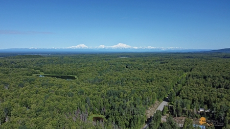 Custom Built Home for Sale in Talkeetna, Alaska - image 37