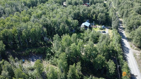 Custom Built Home for Sale in Talkeetna, Alaska - image 33