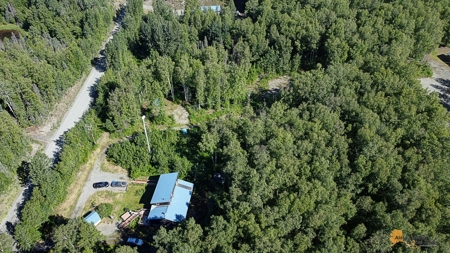 Custom Built Home for Sale in Talkeetna, Alaska - image 36