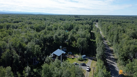 Custom Built Home for Sale in Talkeetna, Alaska - image 31