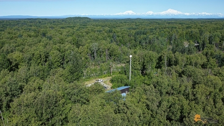 Custom Built Home for Sale in Talkeetna, Alaska - image 29