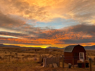 Country Living, Incredible Views, Horse Property - image 21
