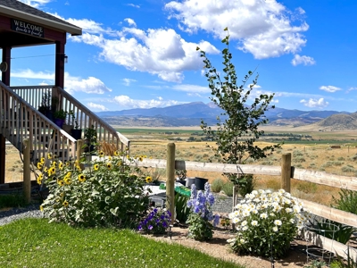 Country Living, Incredible Views, Horse Property - image 3