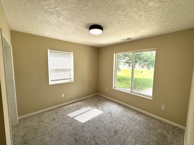 Move in Ready Home in Licking, Missouri with 4 Bedrooms - image 9