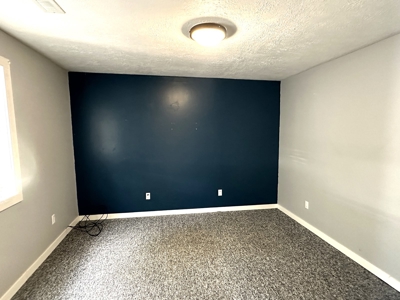 Move in Ready Home in Licking, Missouri with 4 Bedrooms - image 18