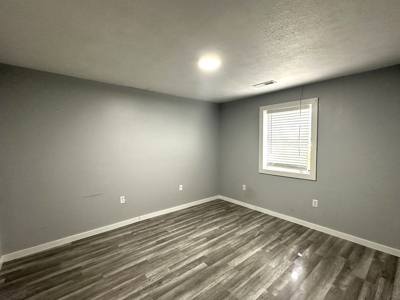 Move in Ready Home in Licking, Missouri with 4 Bedrooms - image 24