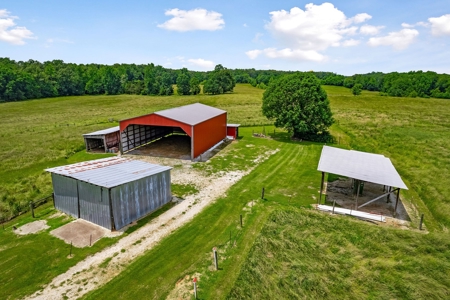 Here is your picket fence Tennessee farm that you have been - image 2