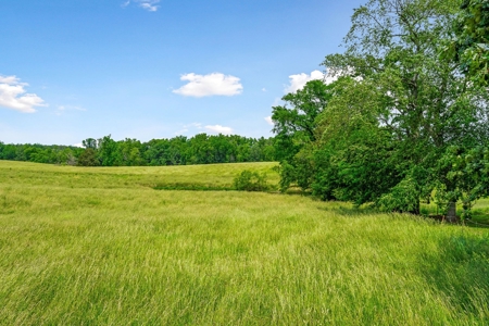 Here is your picket fence Tennessee farm that you have been - image 21