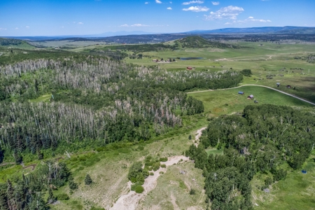 Off-Grid Vacant Colorado Land With Views For Sale - image 28