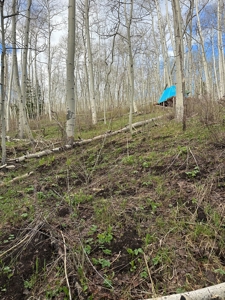 Off-Grid Vacant Colorado Land With Views For Sale - image 15