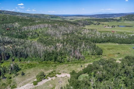 Off-Grid Vacant Colorado Land With Views For Sale - image 27