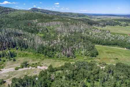 Off-Grid Vacant Colorado Land With Views For Sale - image 26