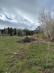 Off-Grid Vacant Colorado Land With Views For Sale - image 16