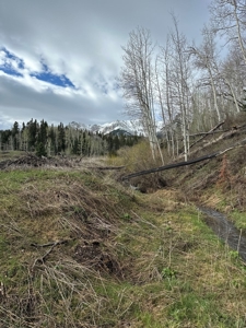 Off-Grid Vacant Colorado Land With Views For Sale - image 10
