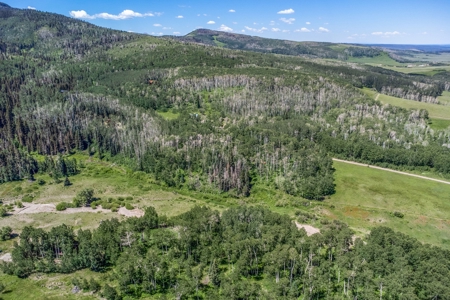 Off-Grid Vacant Colorado Land With Views For Sale - image 25