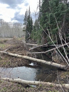 Off-Grid Vacant Colorado Land With Views For Sale - image 9