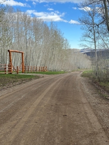 Off-Grid Vacant Colorado Land With Views For Sale - image 3