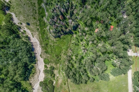 Off-Grid Vacant Colorado Land With Views For Sale - image 38