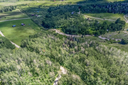 Off-Grid Vacant Colorado Land With Views For Sale - image 33