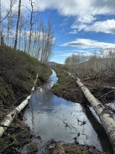 Off-Grid Vacant Colorado Land With Views For Sale - image 2