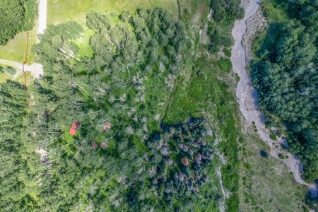 Off-Grid Vacant Colorado Land With Views For Sale - image 35
