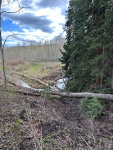Off-Grid Vacant Colorado Land With Views For Sale - image 7