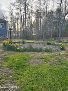 Home For Sale In Hertford Nc - image 9