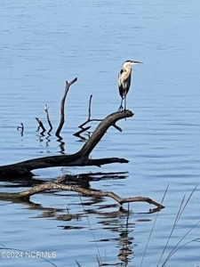 Home For Sale In Hertford Nc - image 12