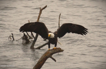 Home For Sale In Hertford Nc - image 11