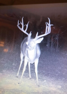 4 Bed 2.5 Bath Country Home On 19.75 Ac In Sawyer Ok For Sal - image 2