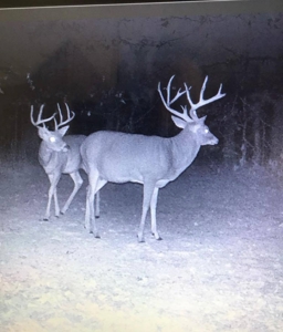 4 Bed 2.5 Bath Country Home On 19.75 Ac In Sawyer Ok For Sal - image 20